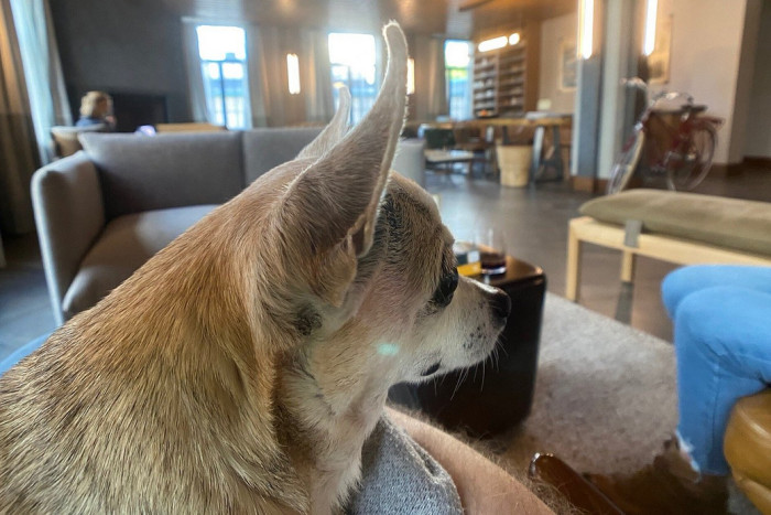 Kimpton Armory Hotel — Bozeman, MT